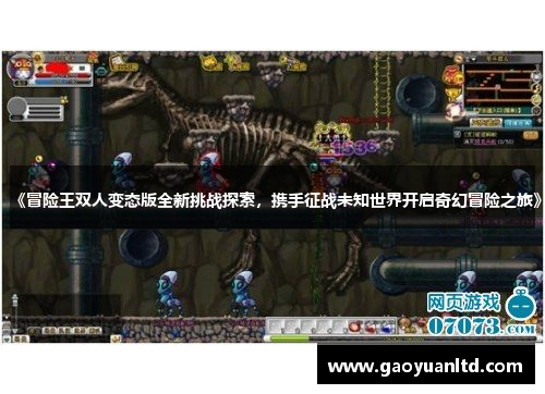 《冒险王双人变态版全新挑战探索，携手征战未知世界开启奇幻冒险之旅》