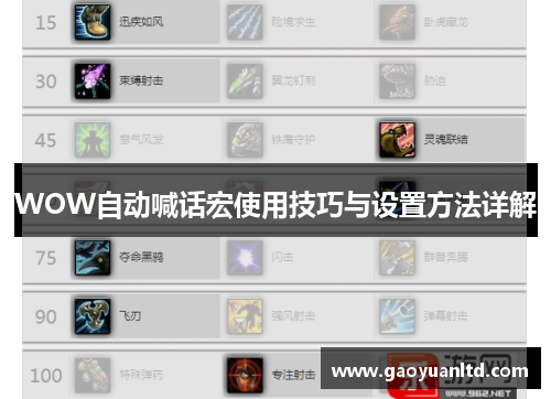 WOW自动喊话宏使用技巧与设置方法详解