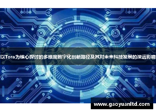 以Tora为核心探讨的多维度数字化创新路径及其对未来科技发展的深远影响 以Tora为核心探讨的多维度数字化创新路径及其对未来科技发展的深远影响